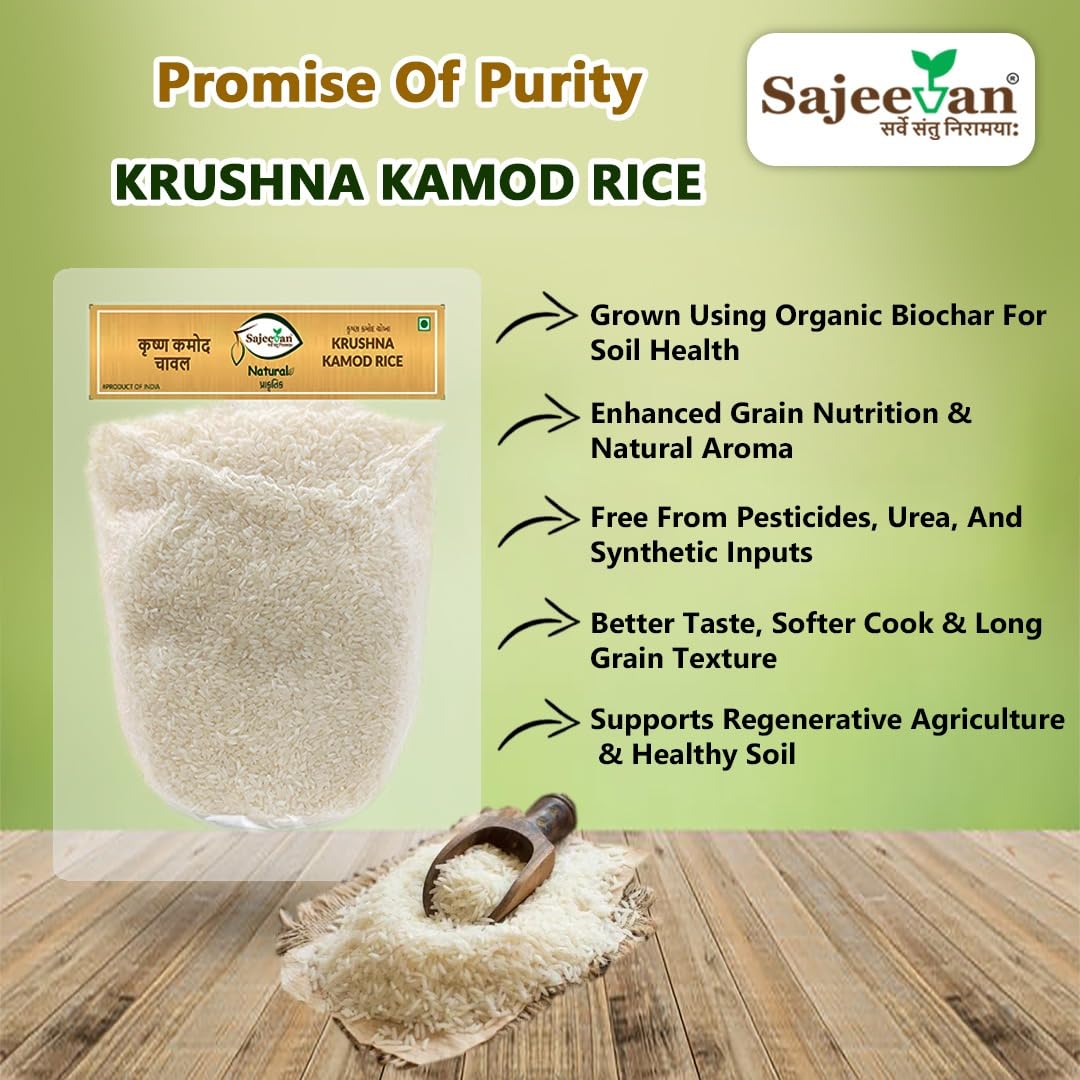 Sajeevan Organic Krushna Kamod Rice | Aromatic Traditional Gujarati Rice | 1kg